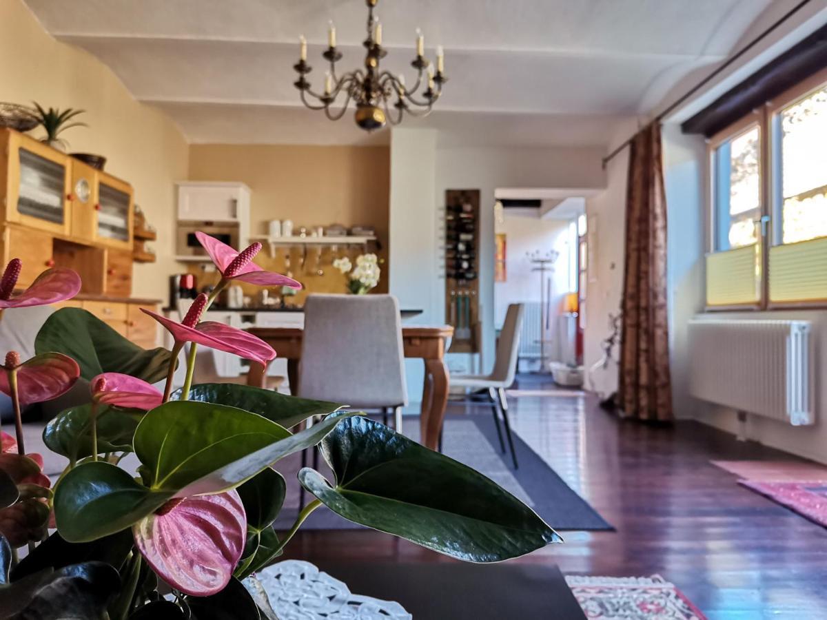Gaestehaus Doris Purbach am Neusiedlersee Zewnętrze zdjęcie