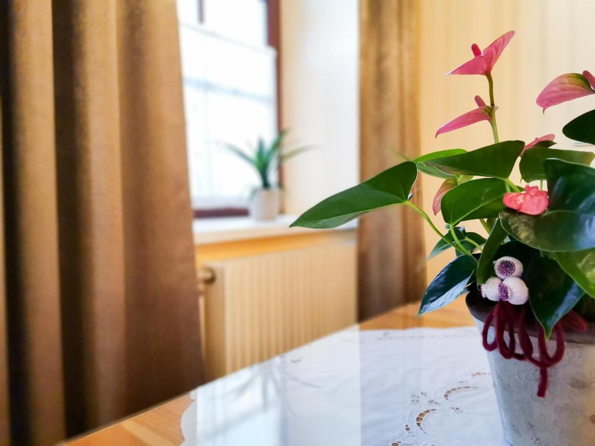 Gaestehaus Doris Purbach am Neusiedlersee Zewnętrze zdjęcie